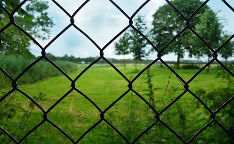 Ile kosztuje ogrodzenie z siatki? Poznaj ukryte koszty i opcje