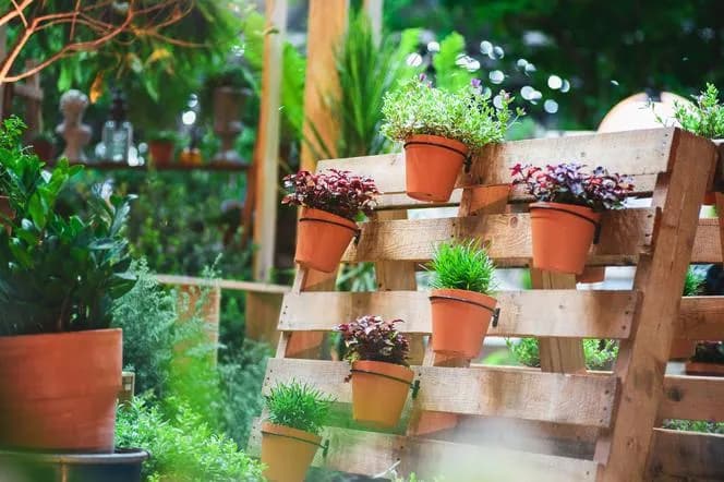 Najlepsze kwiaty do kwietnika z palet: 10 pomysłów na piękny ogród