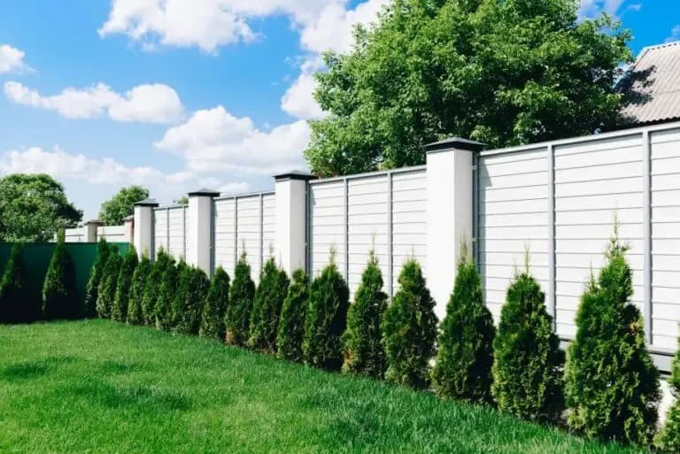 Co posadzić wzdłuż ogrodzenia: 10 najlepszych roślin na granicę